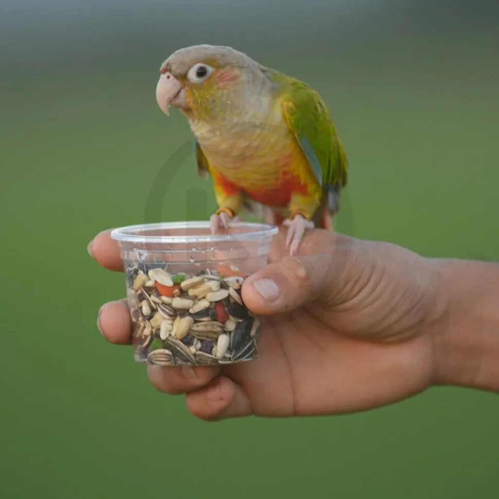 Kaytee Fiesta Conure Food 4.5-lb