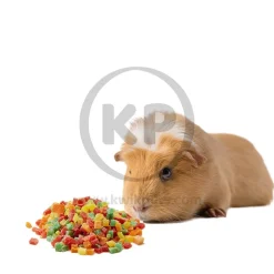 Kaytee Healthy Toppings Papaya Treat for Small Animals 2.5-oz