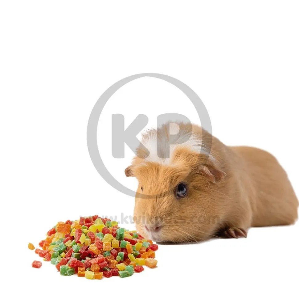 Kaytee Healthy Toppings Papaya Treat for Small Animals 2.5-oz