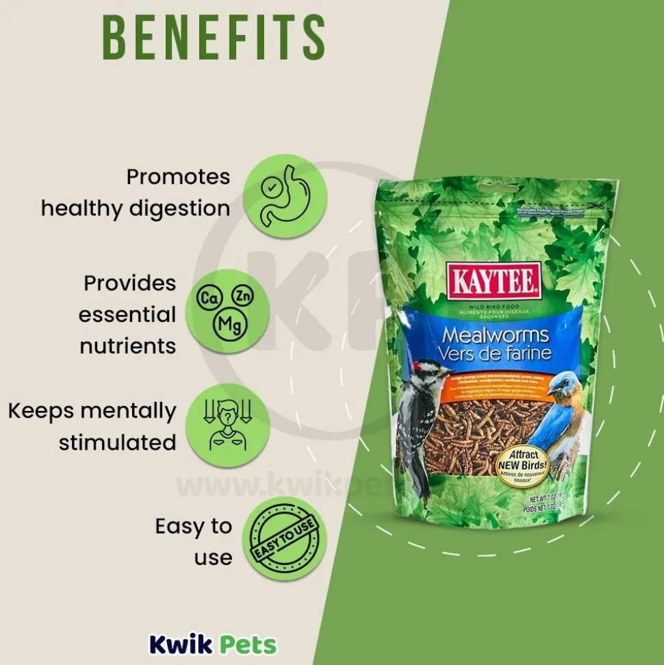 Kaytee Mealworms Wild Bird Food & Chicken Treat 7-oz