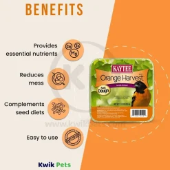 Kaytee Orange Harvest Wild Bird Suet Dough 11.75-oz