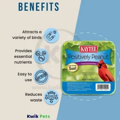 Kaytee Positively Peanut High Energy Wild Birds Mini Suet 11-oz