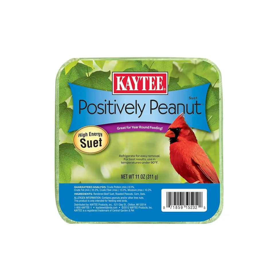 Kaytee Positively Peanut High Energy Wild Birds Mini Suet 11-oz