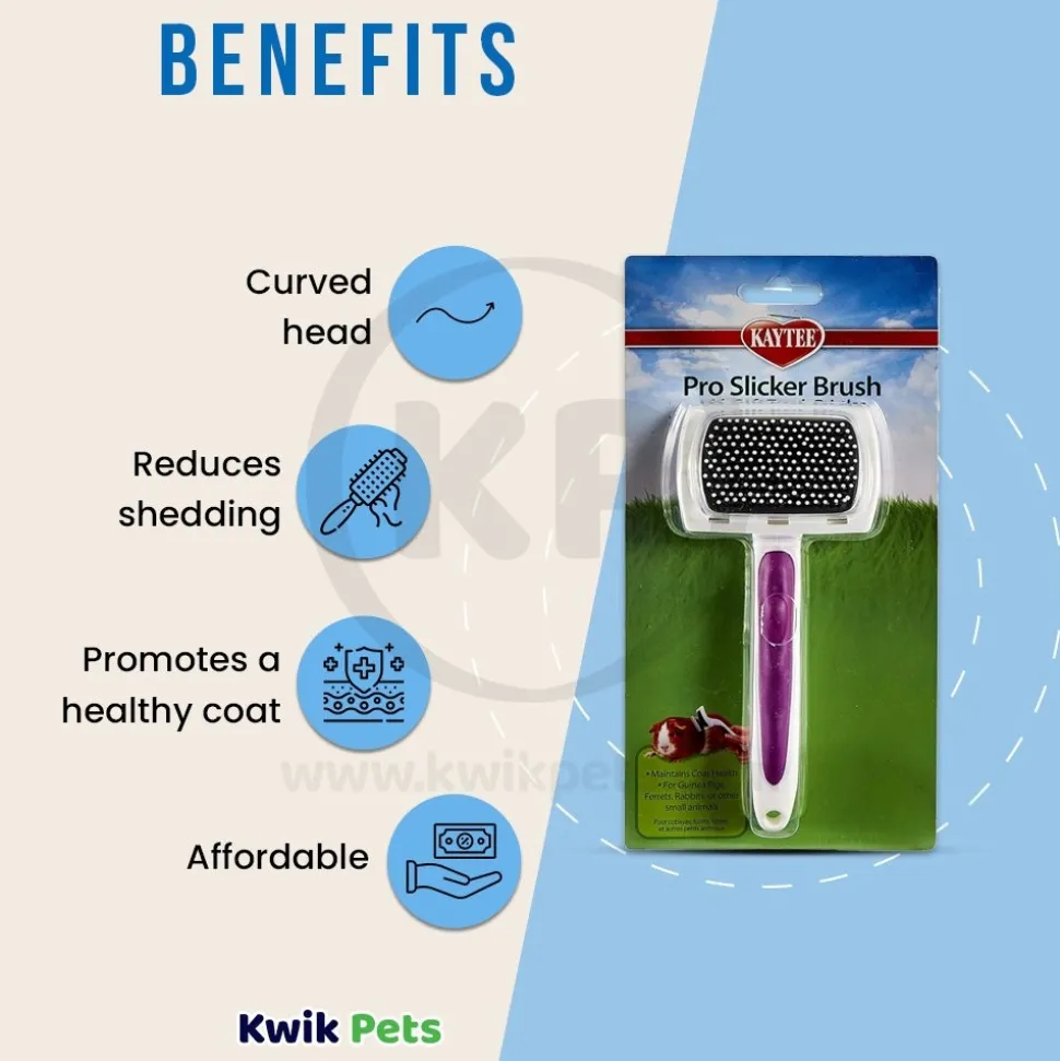 Kaytee Pro-Slicker Brush for Small Animals White