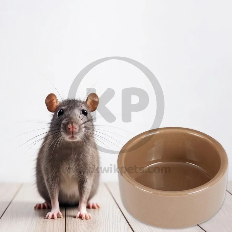 Kaytee Stoneware Pet Bowl 3-in