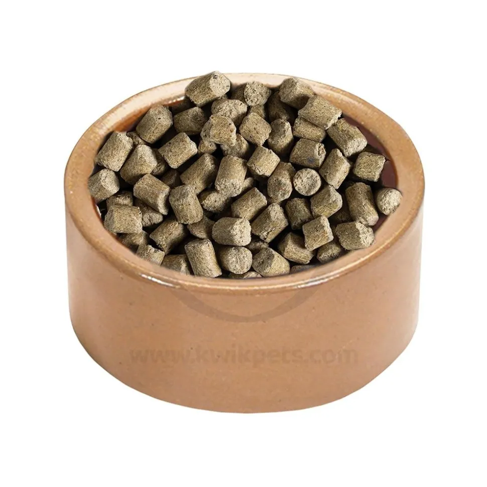 Kaytee Stoneware Pet Bowl 5-in