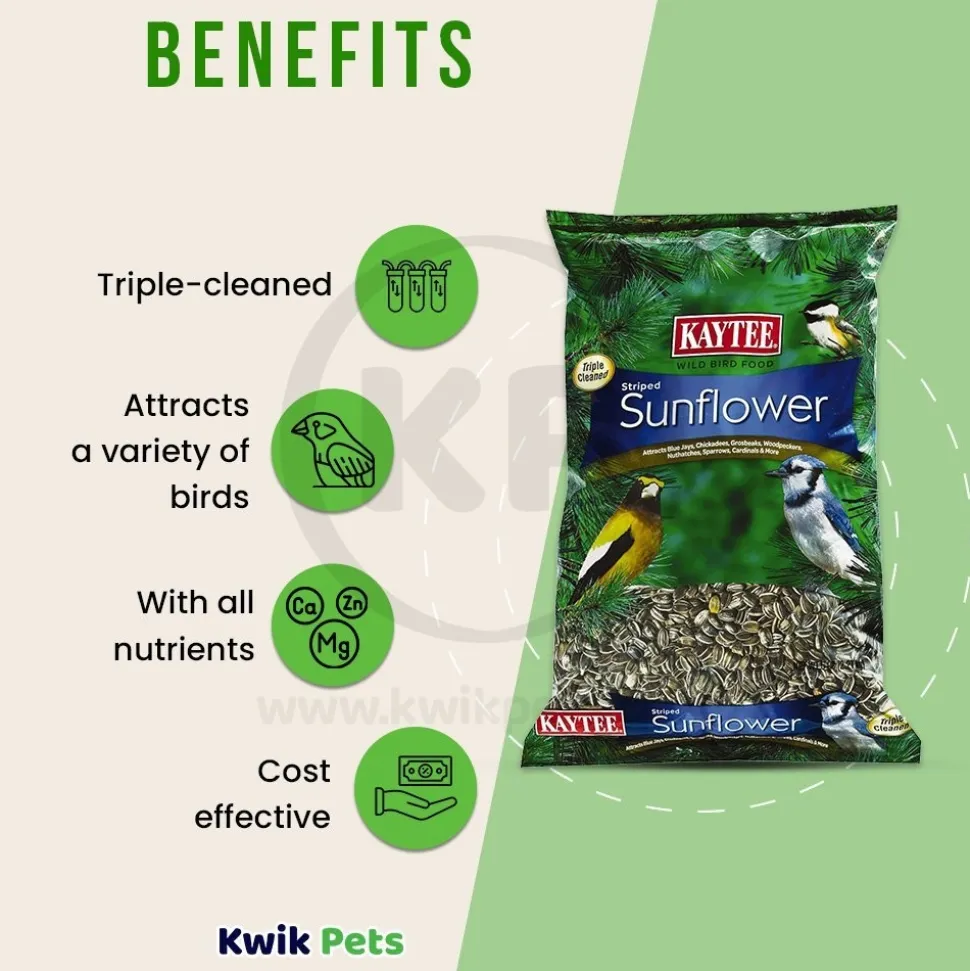Kaytee Striped Sunflower Wild Bird Food 5-lb