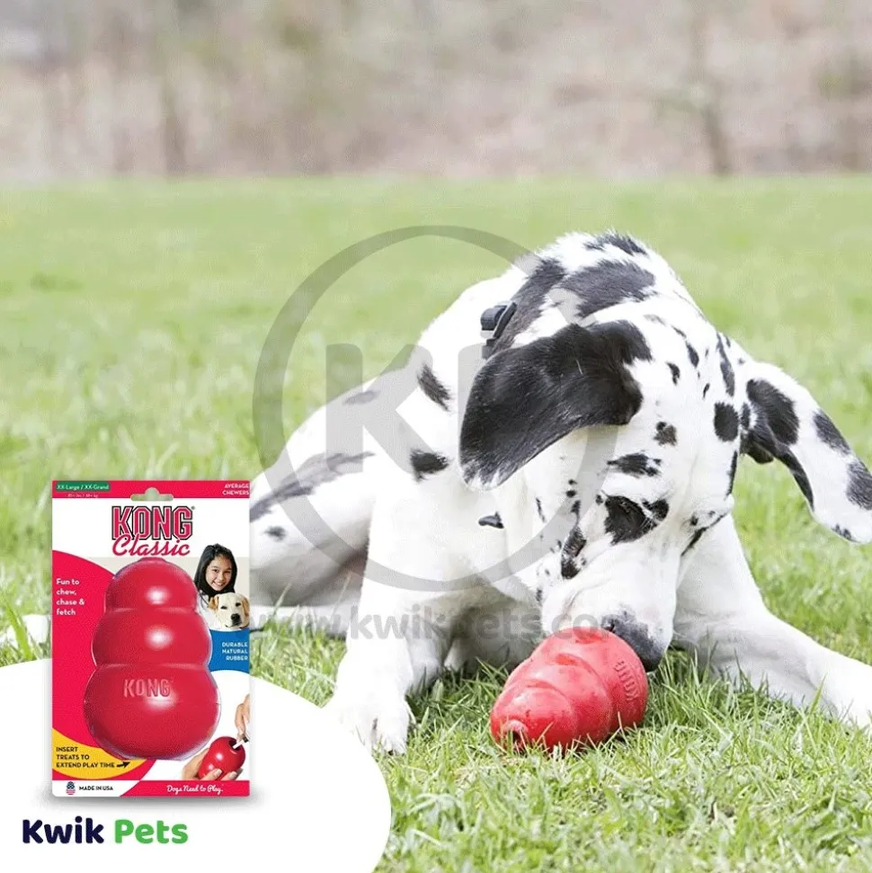 KONG Classic Dog Toy XXL