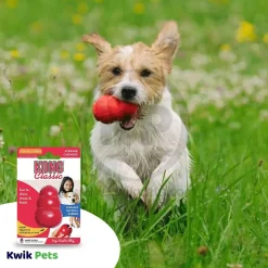KONG Classic Dog Toy XXS
