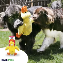 KONG Comfort Duck Jumbo Dog Toy Assorted XL