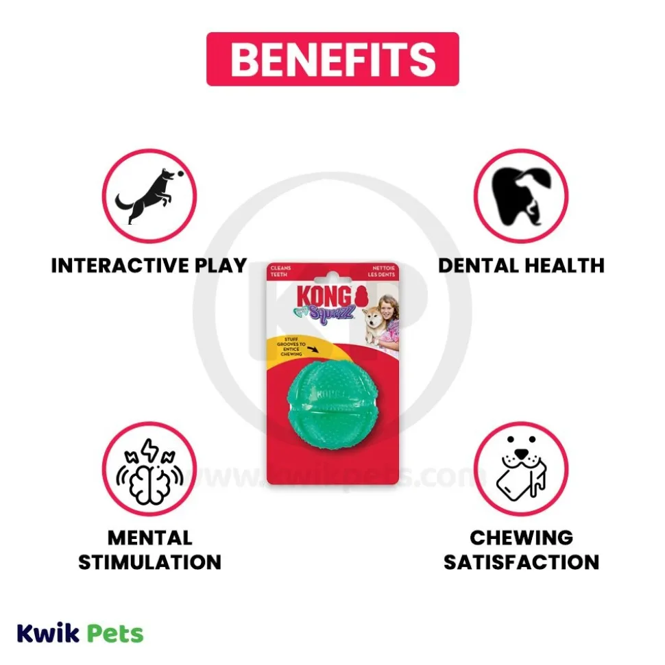 KONG Dental Squeezz Ball Dog Chew Toy Teal Medium