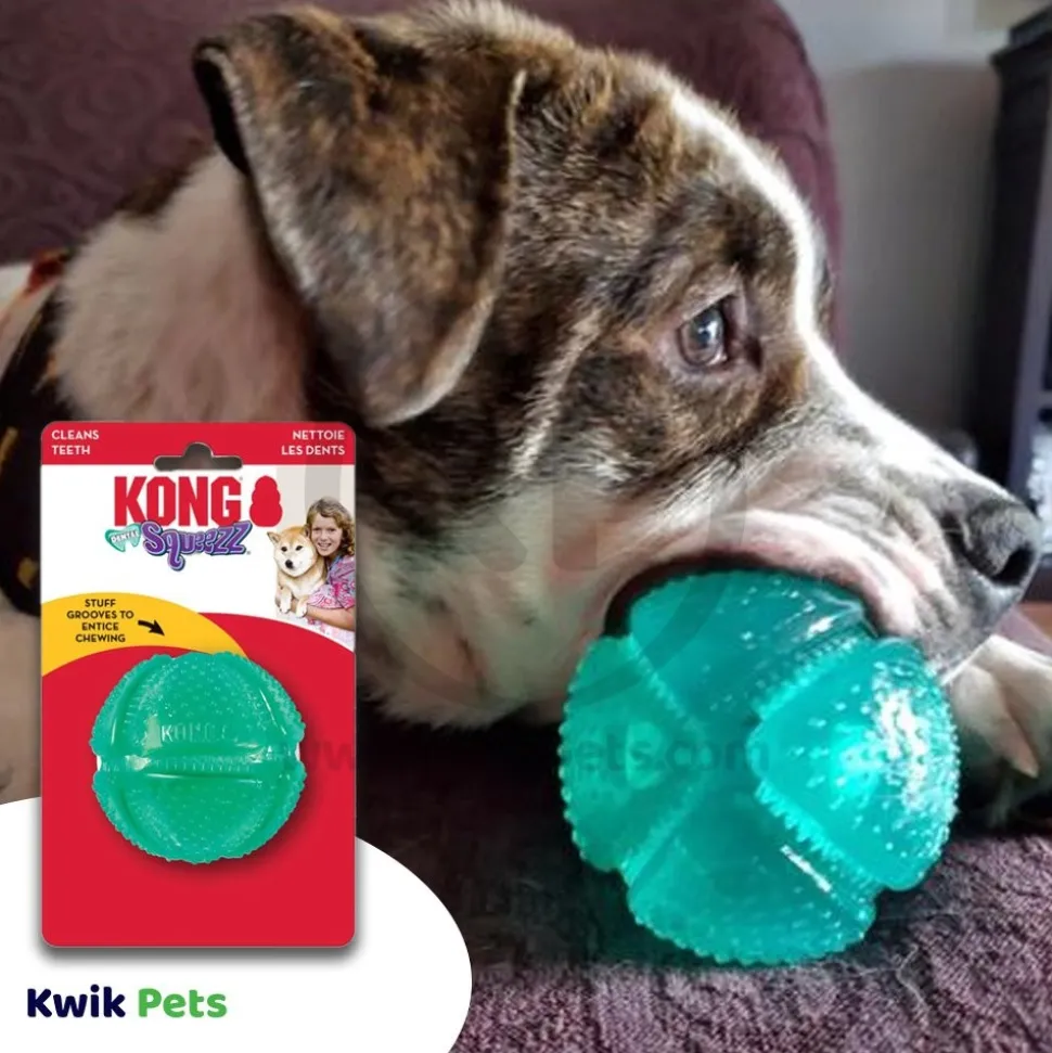 KONG Dental Squeezz Ball Dog Chew Toy Teal Medium