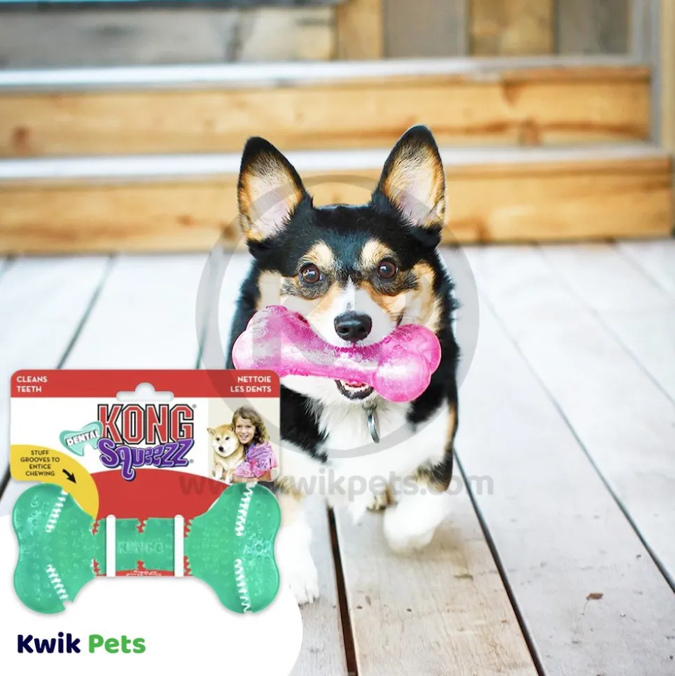 KONG Dental Squeezz Bone Dog Chew Toy Teal Medium
