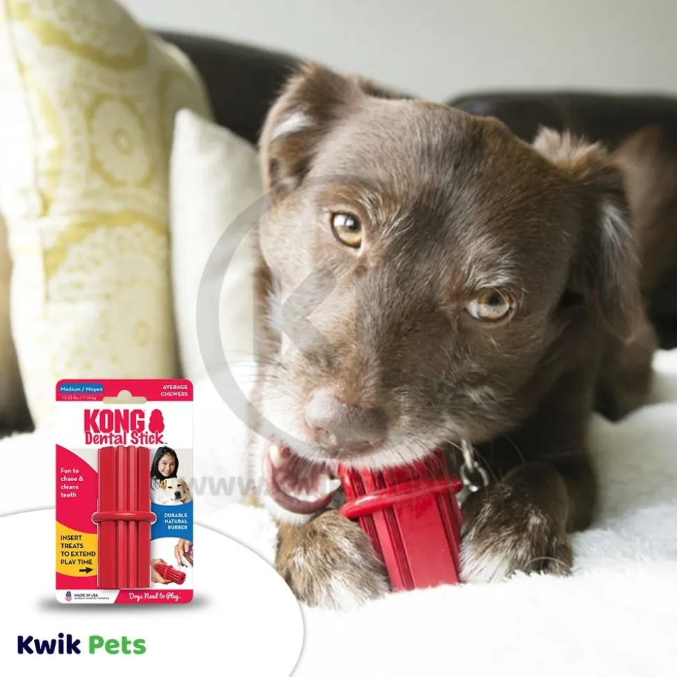 KONG Dental Stick Chew Dog Toy Medium