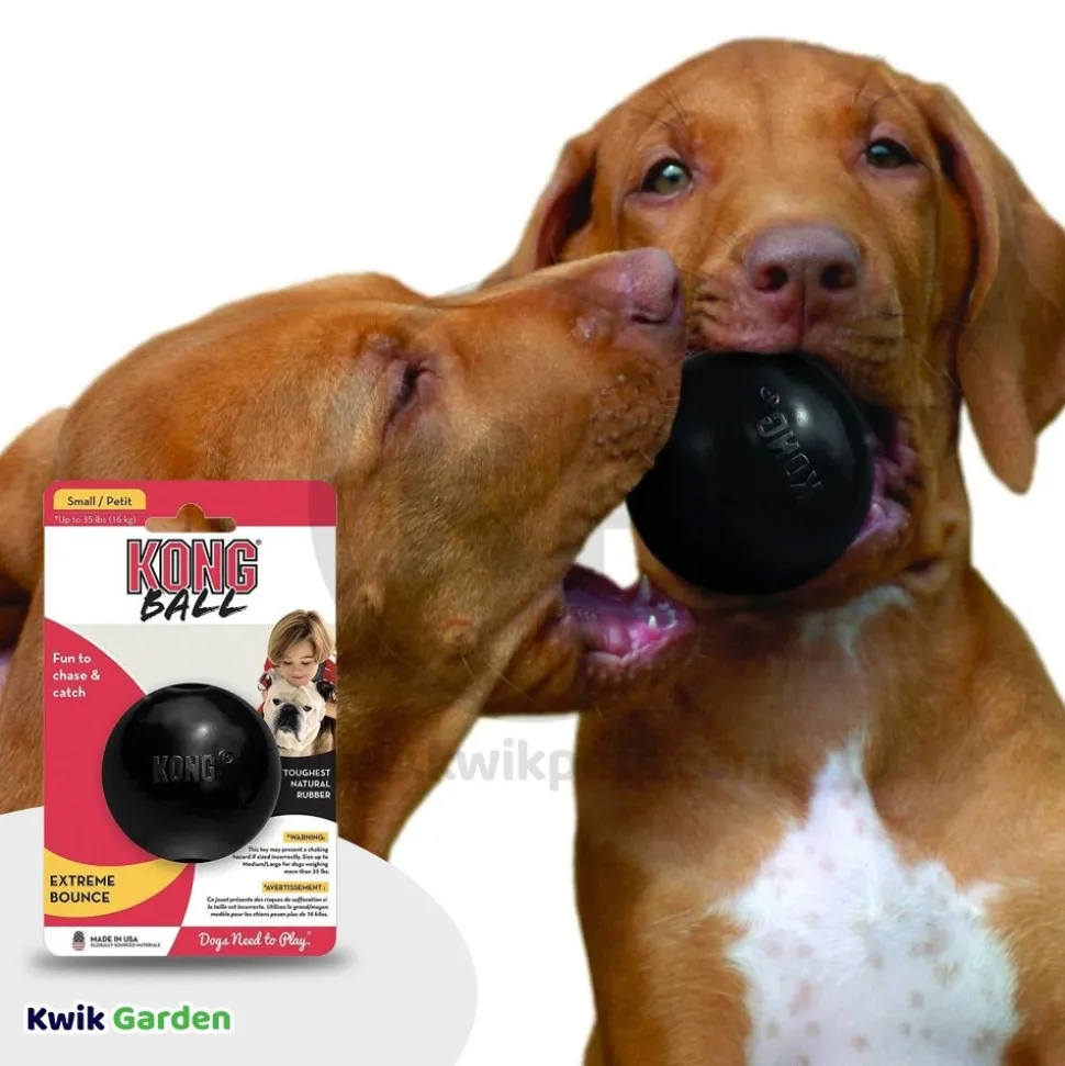 KONG Extreme Ball Dog Toy Black Small