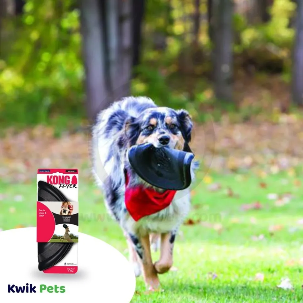KONG Extreme Flyer Dog Toy Black Large