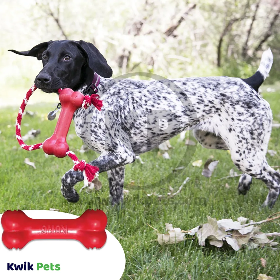 KONG Goodie Bone Dog Toy Large