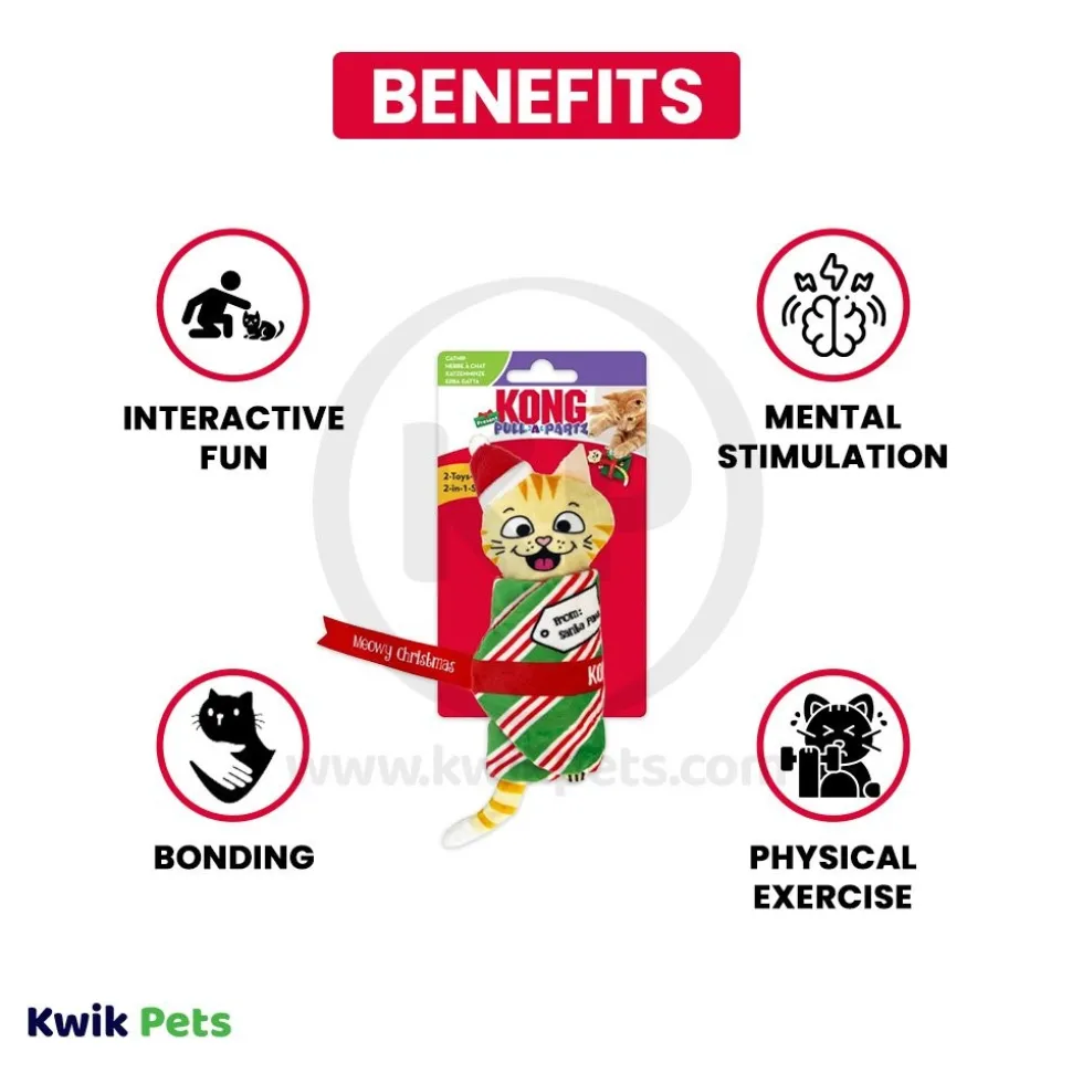KONG Holiday Pull-A-Partz Cat Toy Present Mouse One Size