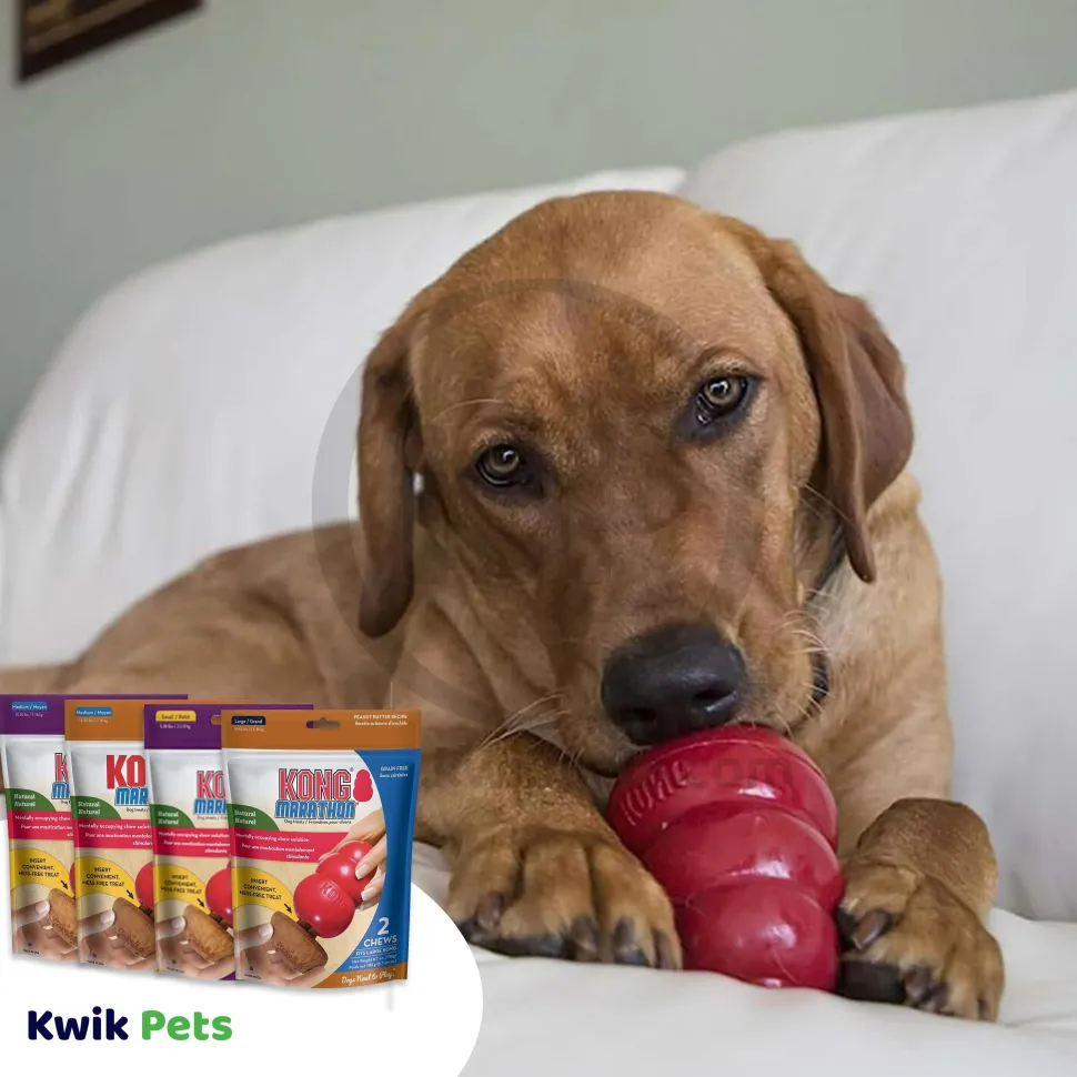 KONG Marathon Chicken Dog Treats 2 Count Large