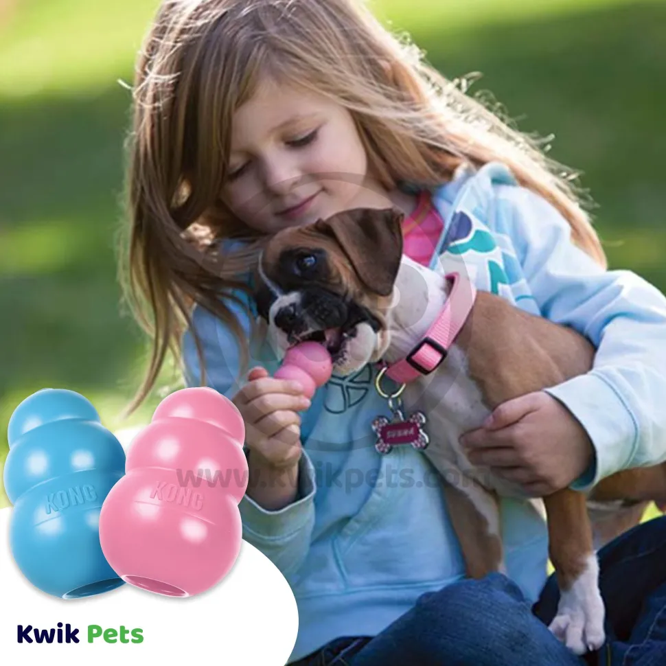 KONG Puppy Toy Assorted Small