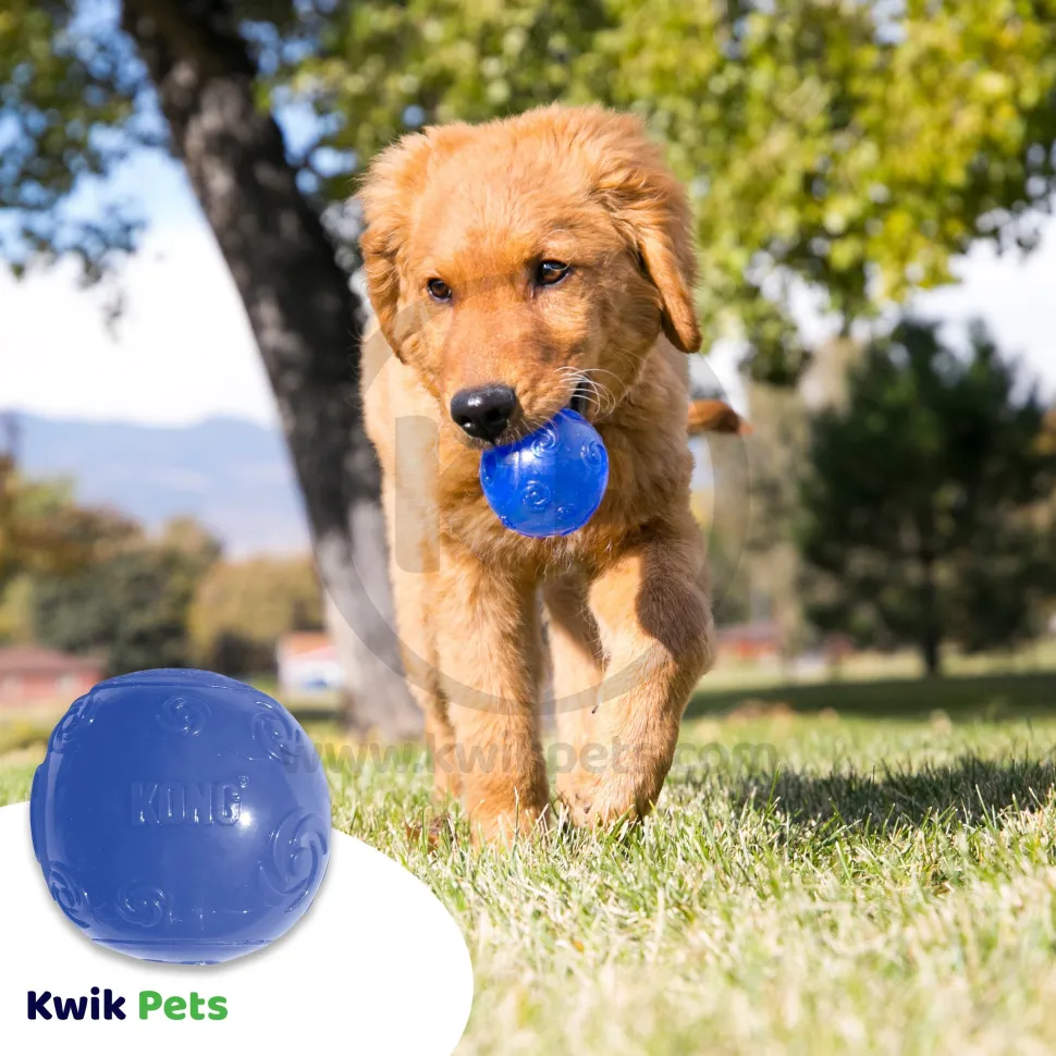 KONG Squeezz Ball Dog Toy Color Assorted Medium