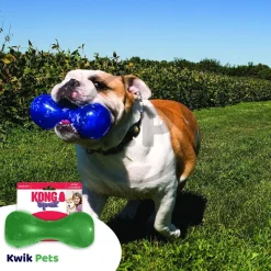 KONG Squeezz Dumbbell Dog Toy Assorted Large