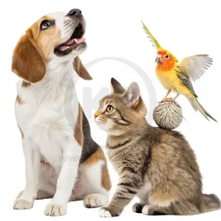 Kwik-Stop Styptic Powder for Dogs Cats & Birds 0.5-oz