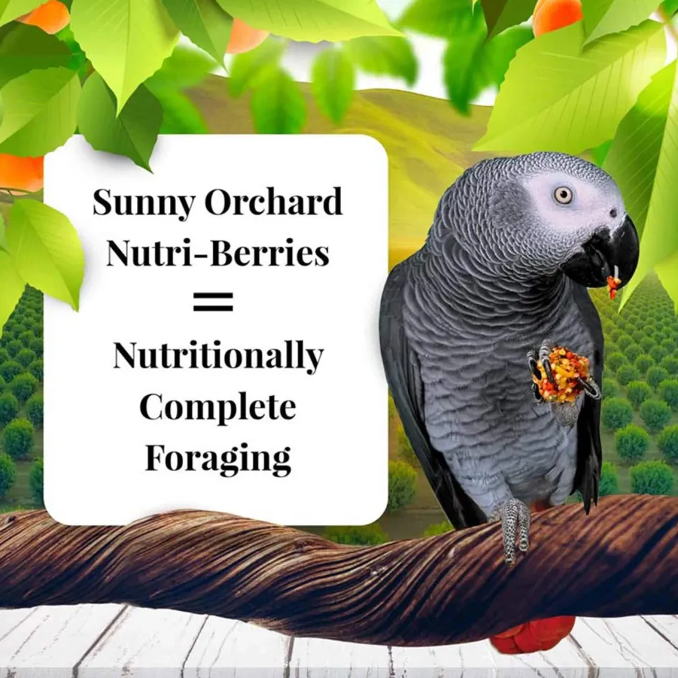 Lafeber Sunny Orchard Nutri-Berries Parrot Bird Food 3-lb