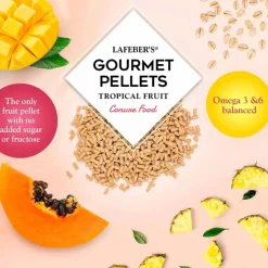 Lafeber Tropical Fruit Gourmet Pellets Conure Bird Food 4-lb
