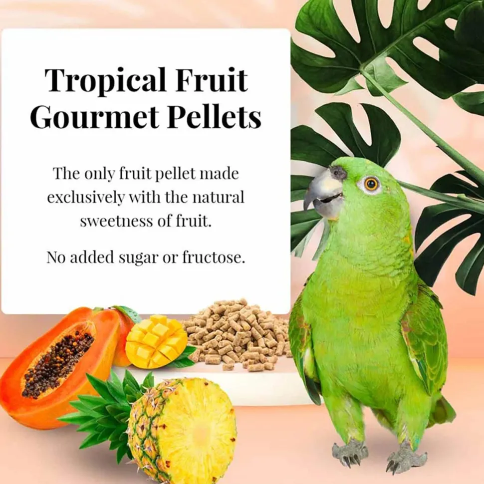 Lafeber Tropical Fruit Gourmet Pellets Parrot Bird Food 4-lb