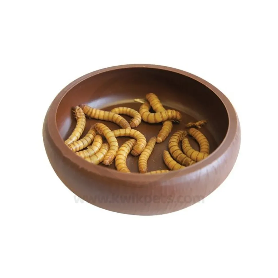 Lee's Aquarium & Pet Products Mealworm Curved Dish for Reptiles Brown 3-in