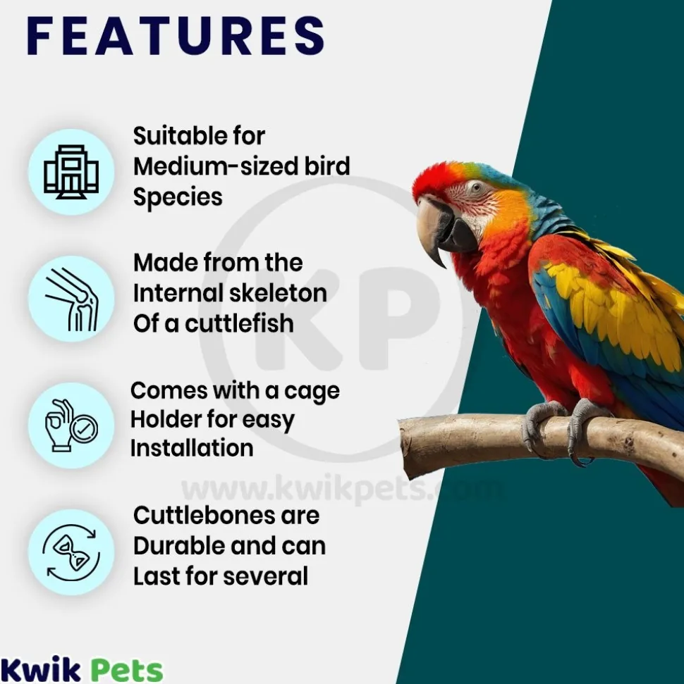 Living World Cuttlebone for Birds Large 6-7 in 2 Count