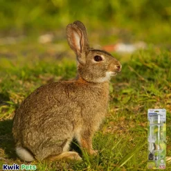 Lixit Chew Proof Glass Bottle for Small Animals Clear 12-oz
