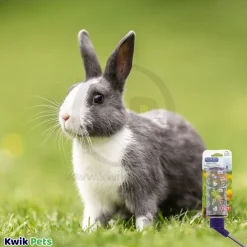Lixit Clear Water Bottle for Small Animals 4-oz