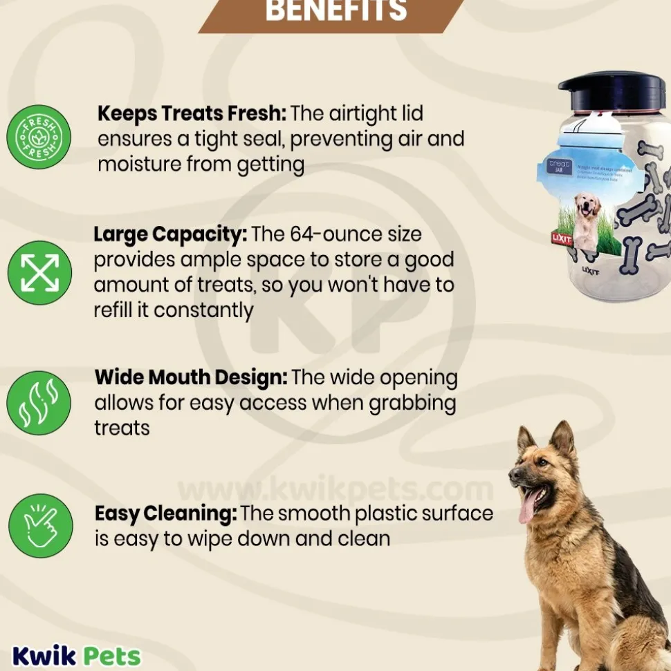 Lixit Dog Treat Jar Container Grey Clear Large