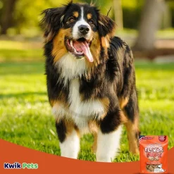 Loving Pets Flavorfullz Filled Dog Treats Chicken 6-oz