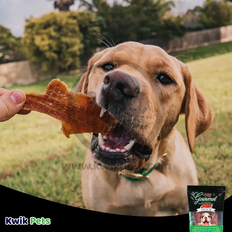 Loving Pets Gourmet Duck Filet Strips Dog Treats 12-oz
