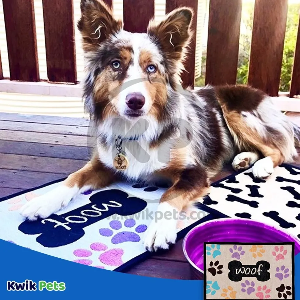 Loving Pets Multicolor Fashion Mat Woof with Multi Paws