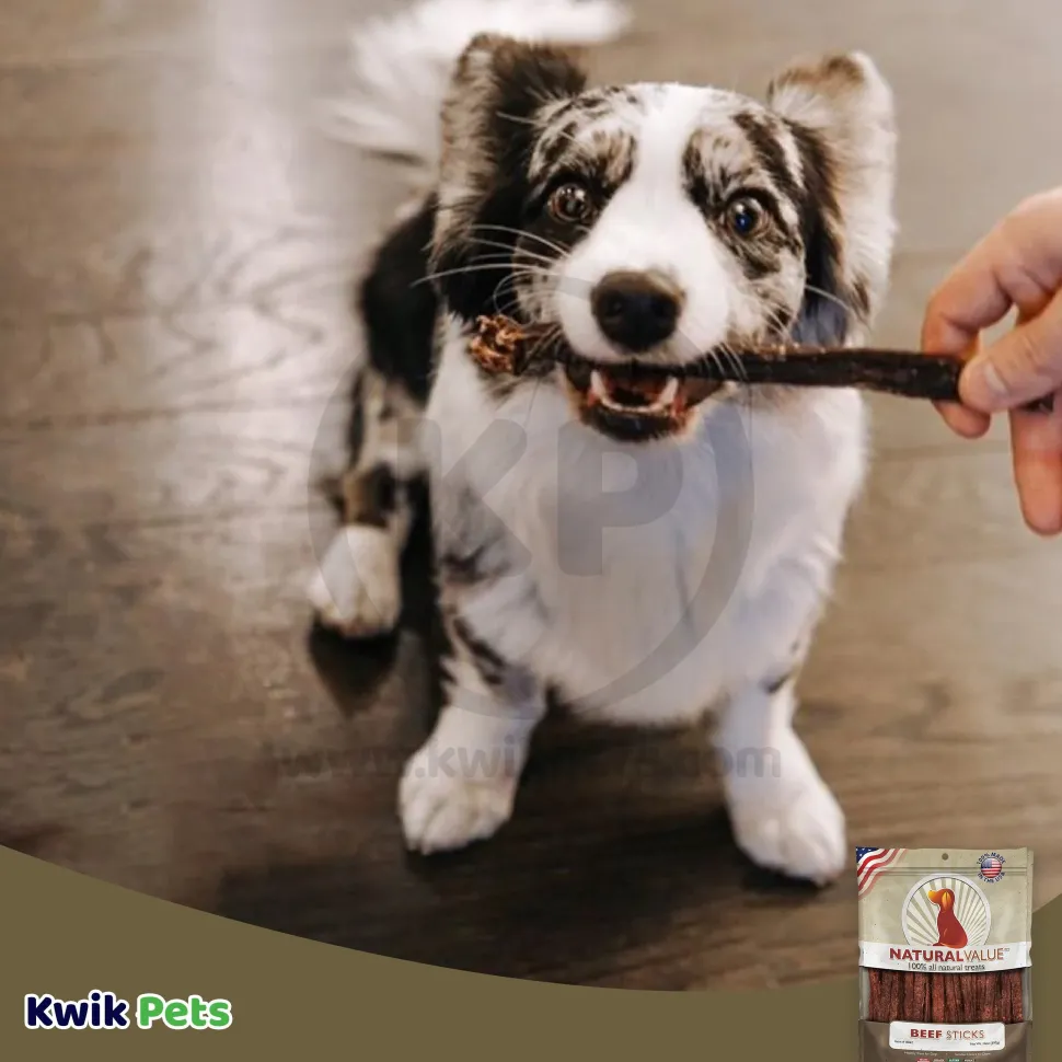 Loving Pets Natural Value Beef Sticks Dog Treat 14-oz