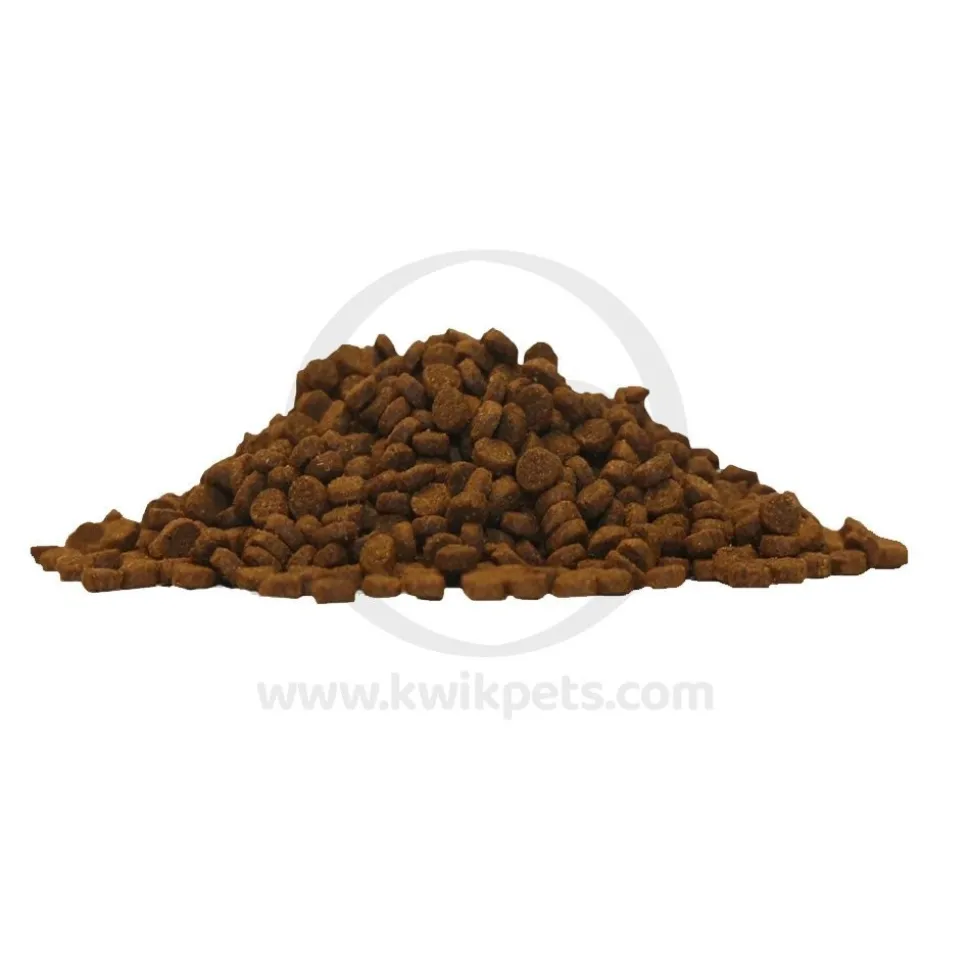 Lucy Pet Products Formulas for Life Dry Cat Food Salmon Pumpkin & Quinoa 4-lb