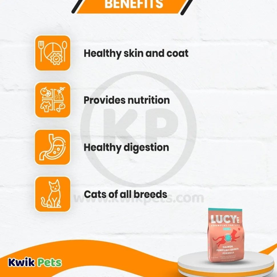 Lucy Pet Products Formulas for Life Dry Cat Food Salmon Pumpkin & Quinoa 4-lb