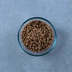 Lucy Pet Products Grain-Free Small Bites Small Breed Dry Dog Food Salmon, Pumpkin & Quinoa 4.5-lb