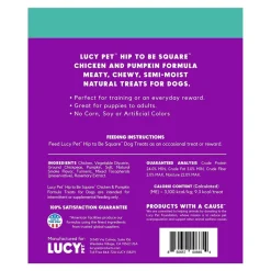 Lucy Pet Products Hip to Be Square Limited Ingredient Dog Treats Chicken & Pumpkin 6-oz