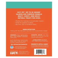 Lucy Pet Products Hip to Be Square Limited Ingredient Dog Treats Salmon & Pumpkin 6-oz