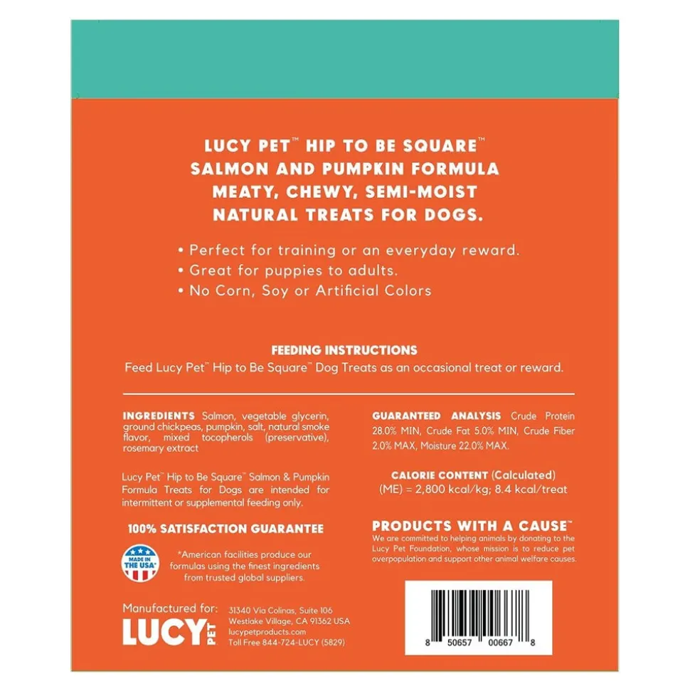 Lucy Pet Products Hip to Be Square Limited Ingredient Dog Treats Salmon & Pumpkin 6-oz