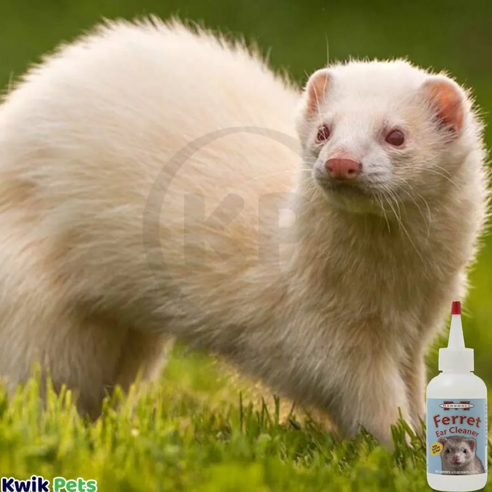 Marshall Pet Products Ferret Ear Cleaner 4-oz