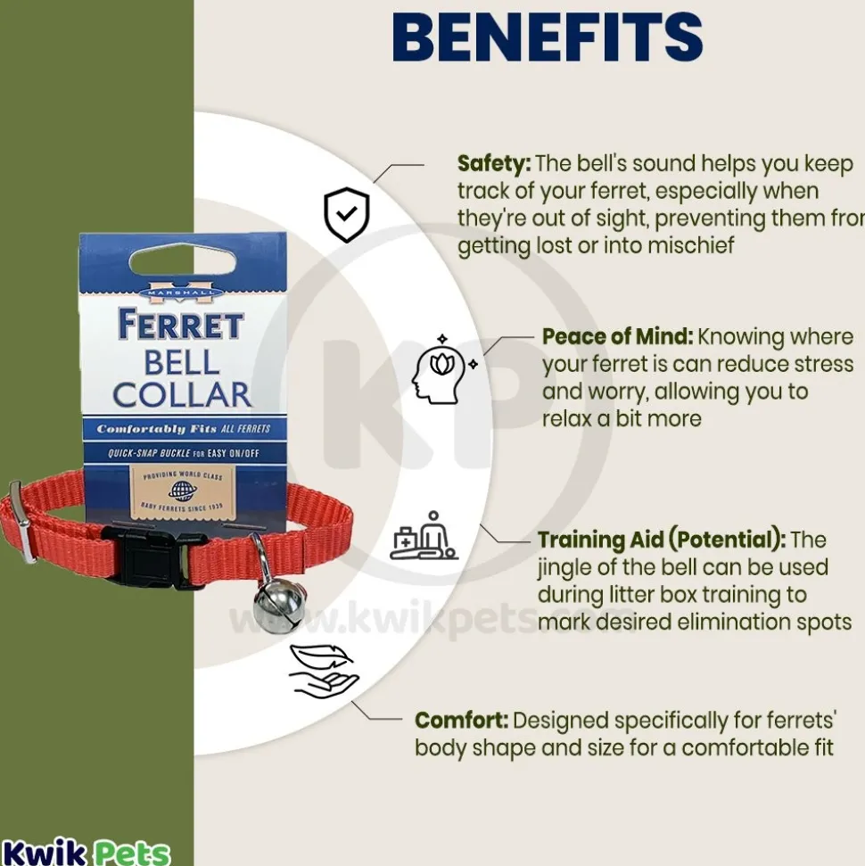 Marshall Pet Products Ferret Bell Collar Red 3/8-in