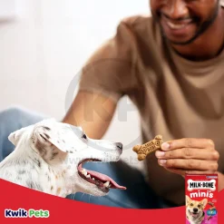 Milk-Bone Flavor Snacks Dog Treats Mini 15-oz
