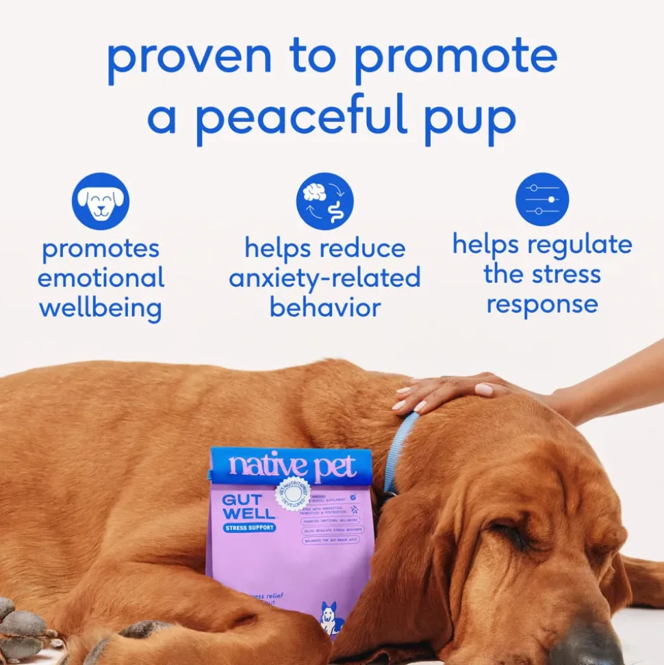 Native Pet GutWell Stress Support Anxiety Relief & Calming Supplement for Dogs 12.7-oz