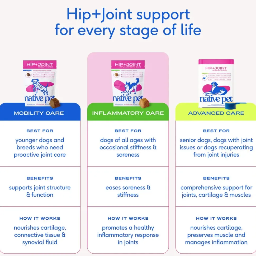 Native Pet Hip & Joint Inflammatory Care Chews Supplement for Dogs 30 Count